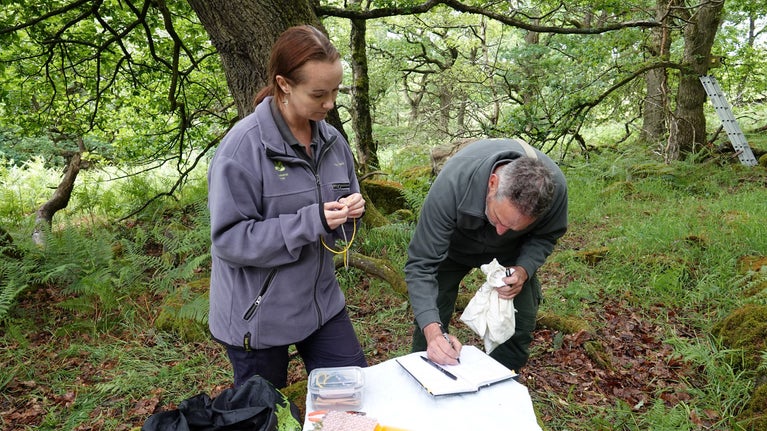 Two people working in the woodland to record information. One of them is writing in a book and the other is holding equipment.